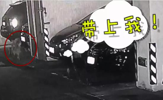 十大足球赌注软件