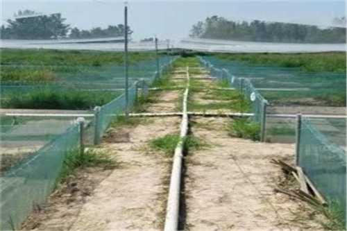 十大足球赌注软件排行榜