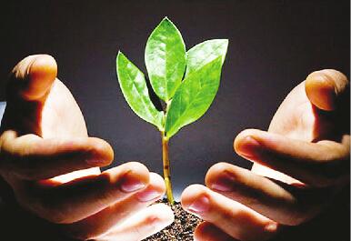 足球赌注软件APP