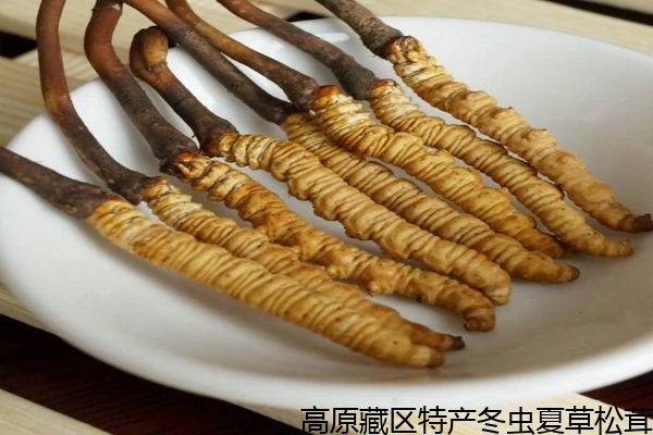 十大足球赌注软件排行榜：朱坤福先生与其医学著作《穴位贴敷治疗