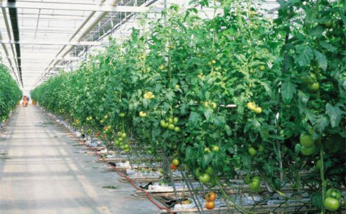 十大足球赌注软件排行榜