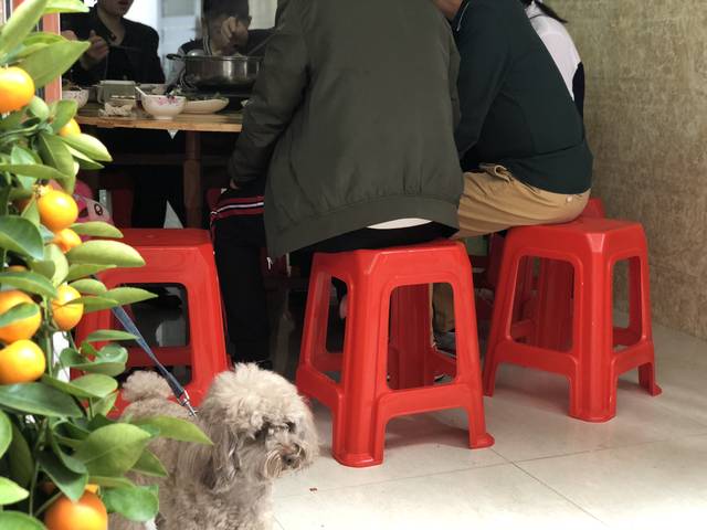 ‘足球赌注软件APP’沪镍日间摸高101950元/吨   升