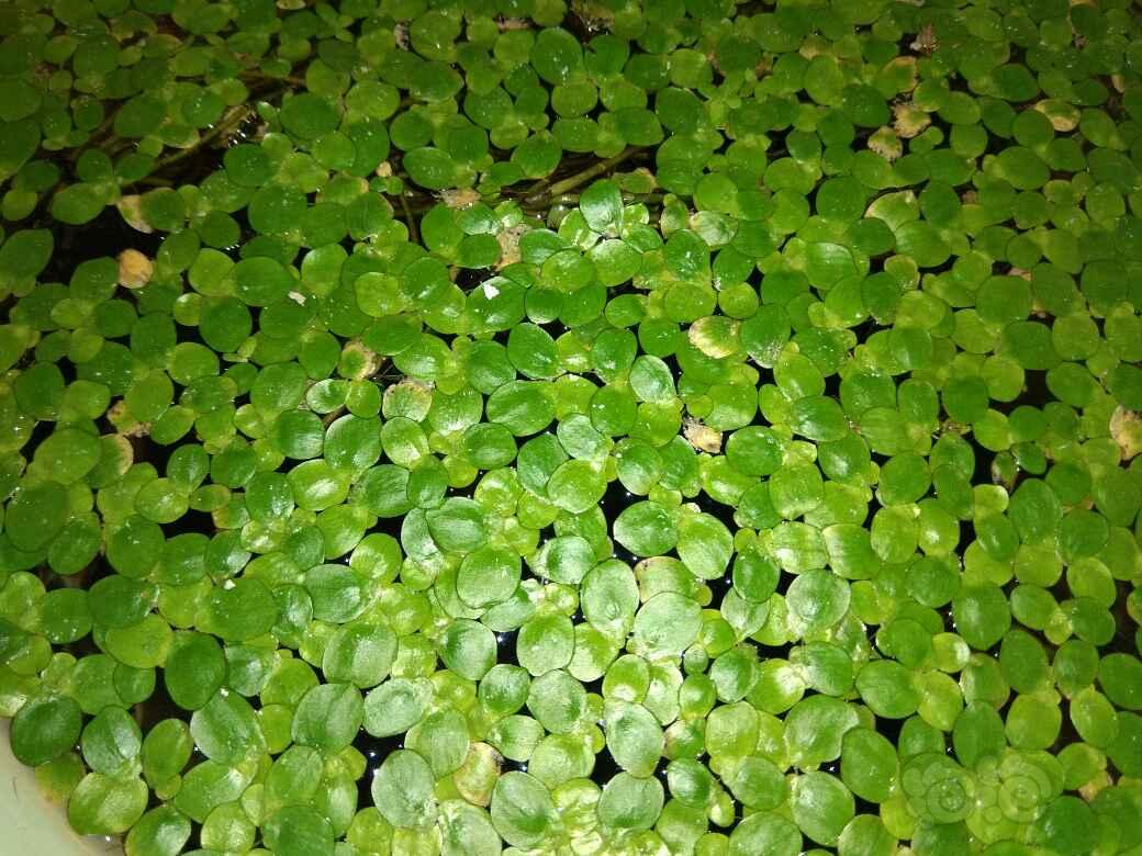 十大足球赌注软件