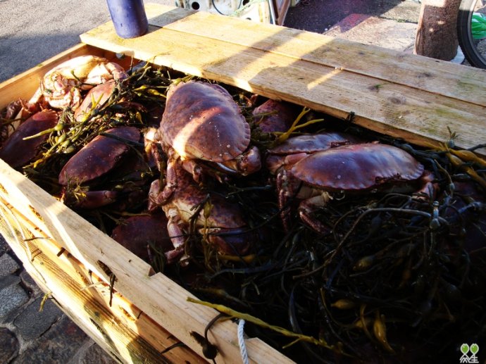 【足球赌注软件APP】2017科技养老展丶老年智慧设备及系统