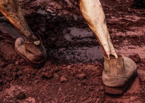 足球赌注软件|中国最大钢企如何压减502万吨产能？