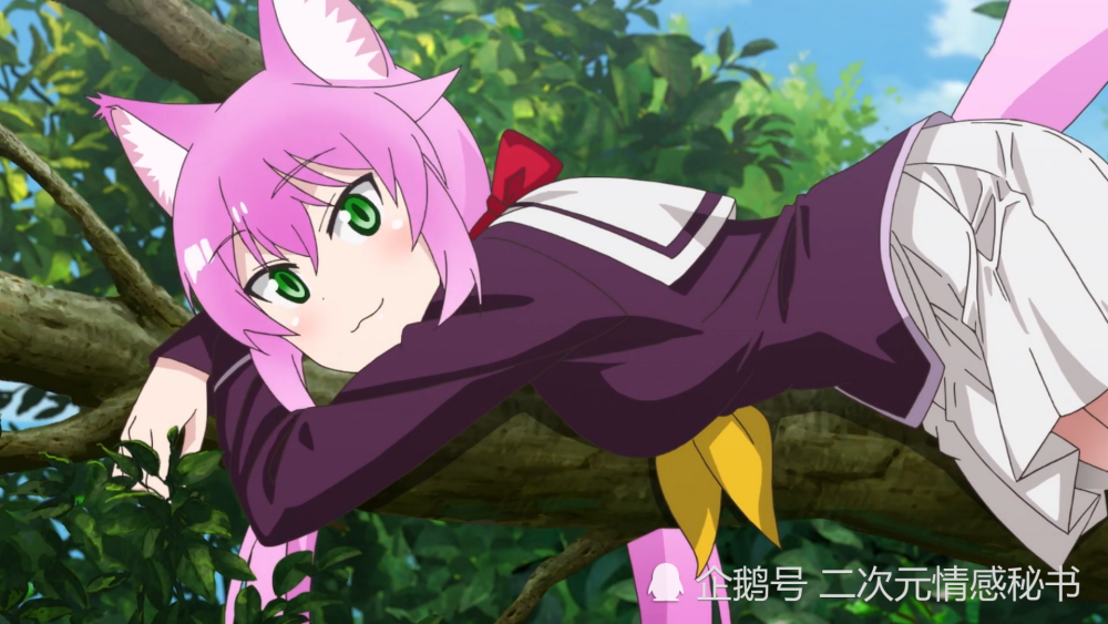 中国森林旅游节开幕 福建两地喜获